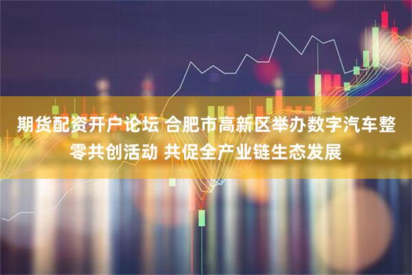 期货配资开户论坛 合肥市高新区举办数字汽车整零共创活动 共促全产业链生态发展